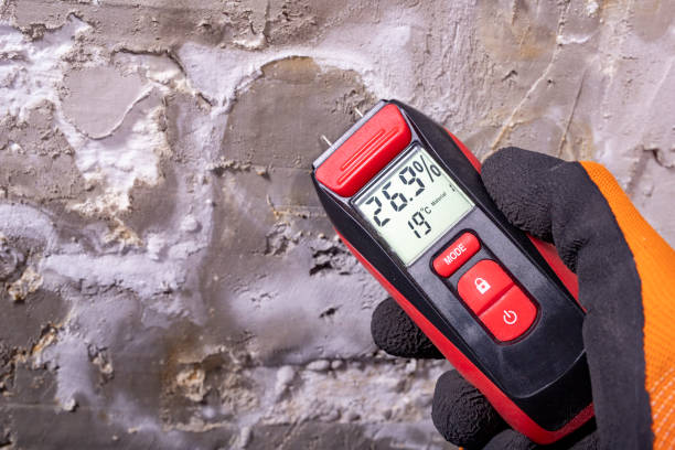 Best Mold Testing and Inspection Services in Ellsworth, ME